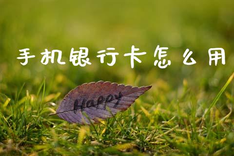 手机银行卡怎么用_https://m.fansifence.com_个股行情_第1张