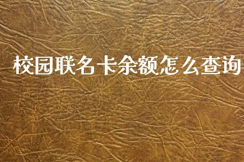 校园联名卡余额怎么查询_https://m.fansifence.com_个股行情_第1张