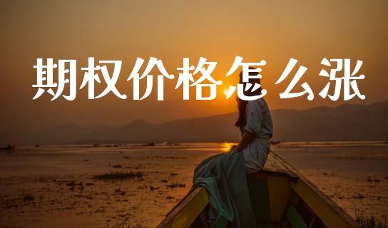 期权价格怎么涨_https://m.fansifence.com_个股行情_第1张