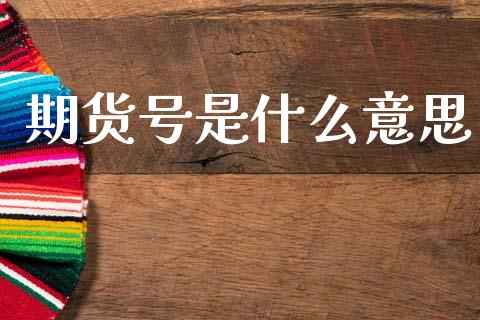 期货号是什么意思_https://m.fansifence.com_公募基金_第1张