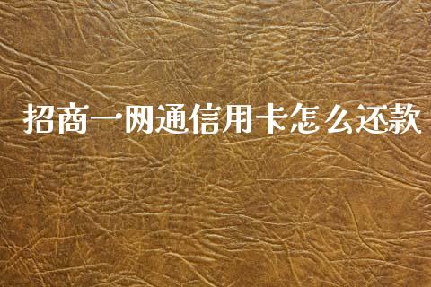 招商一网通信用卡怎么还款_https://m.fansifence.com_贵金属行情_第1张