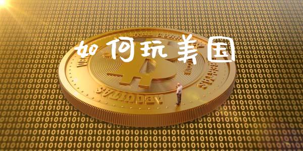如何玩美国_https://m.fansifence.com_公募基金_第1张