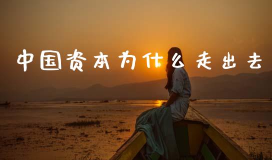 中国资本为什么走出去_https://m.fansifence.com_消费金融_第1张