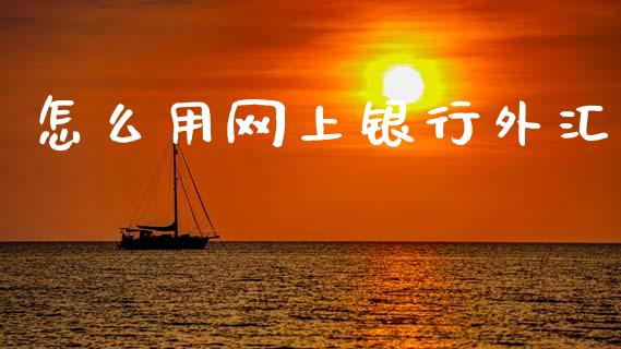 怎么用网上银行外汇_https://m.fansifence.com_消费金融_第1张