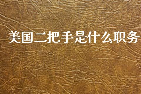美国二把手是什么职务_https://m.fansifence.com_个股行情_第1张