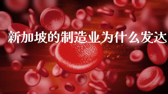 新加坡的制造业为什么发达_https://m.fansifence.com_贵金属行情_第1张