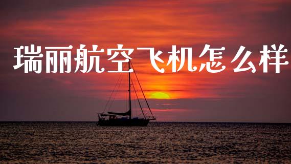 瑞丽航空飞机怎么样_https://m.fansifence.com_消费金融_第1张