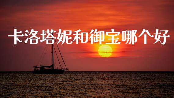 卡洛塔妮和御宝哪个好_https://m.fansifence.com_个股行情_第1张