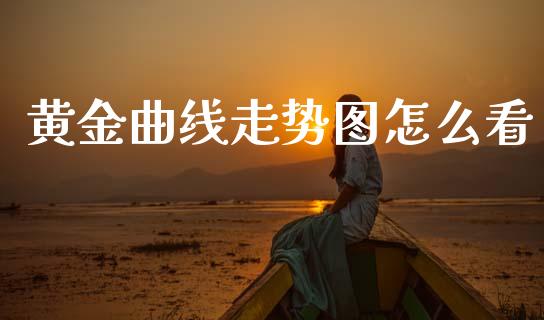 黄金曲线走势图怎么看_https://m.fansifence.com_公募基金_第1张
