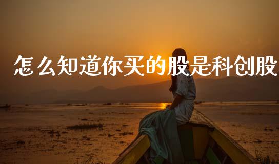 怎么知道你买的股是科创股_https://m.fansifence.com_公募基金_第1张