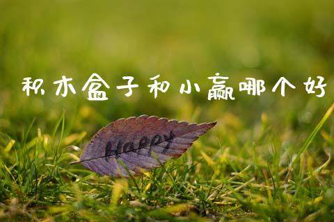 积木盒子和小赢哪个好_https://m.fansifence.com_消费金融_第1张