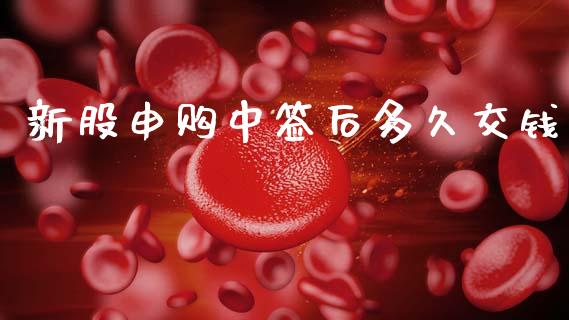 新股申购中签后多久交钱_https://m.fansifence.com_个股行情_第1张