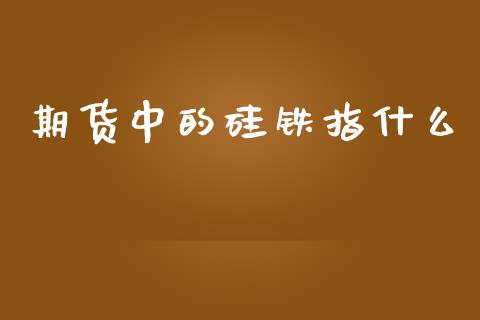 期货中的硅铁指什么_https://m.fansifence.com_贵金属行情_第1张