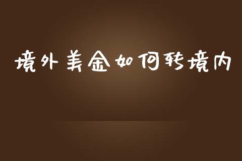 境外美金如何转境内_https://m.fansifence.com_贵金属行情_第1张