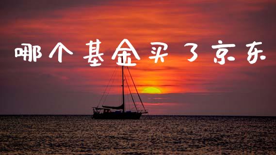 哪个基金买了京东_https://m.fansifence.com_个股行情_第1张