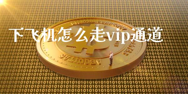 下飞机怎么走vip通道_https://m.fansifence.com_公募基金_第1张