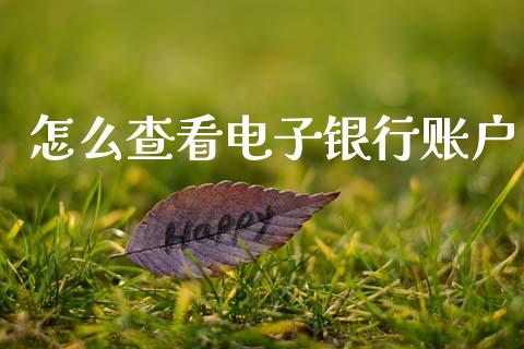怎么查看电子银行账户_https://m.fansifence.com_消费金融_第1张