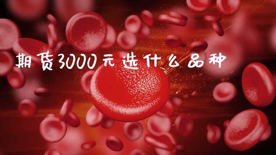 期货3000元选什么品种_https://m.fansifence.com_贵金属行情_第1张