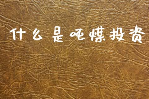 什么是吨煤投资_https://m.fansifence.com_消费金融_第1张
