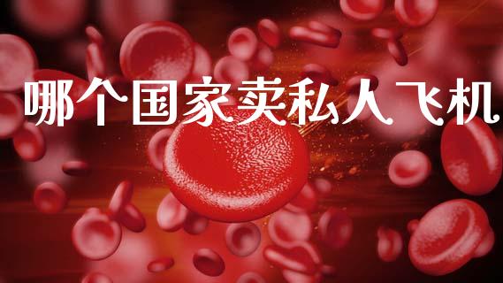 哪个国家卖私人飞机_https://m.fansifence.com_公募基金_第1张