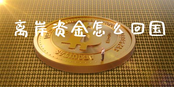 离岸资金怎么回国_https://m.fansifence.com_公募基金_第1张