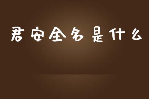 君安全名是什么_https://m.fansifence.com_消费金融_第1张