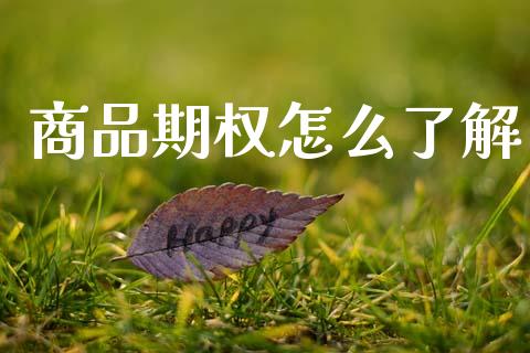 商品期权怎么了解_https://m.fansifence.com_个股行情_第1张