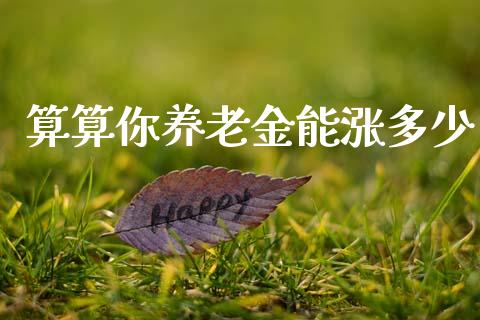 算算你养老金能涨多少_https://m.fansifence.com_消费金融_第1张