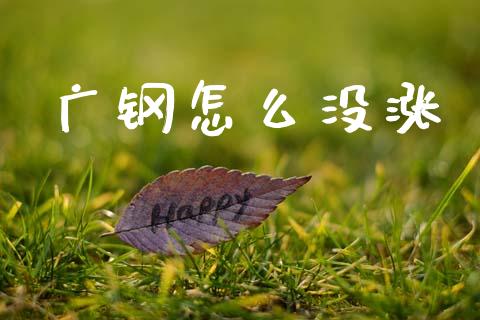 广钢怎么没涨_https://m.fansifence.com_个股行情_第1张