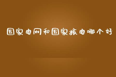 国家电网和国家核电哪个好_https://m.fansifence.com_消费金融_第1张