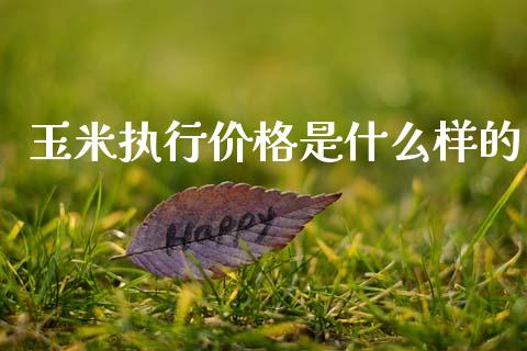 玉米执行价格是什么样的_https://m.fansifence.com_贵金属行情_第1张