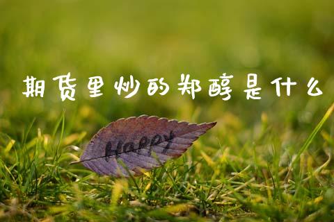 期货里炒的郑醇是什么_https://m.fansifence.com_消费金融_第1张