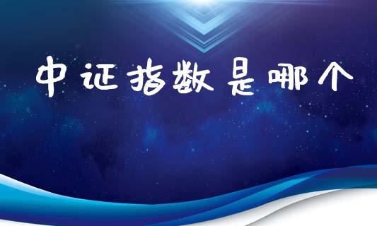 中证指数是哪个_https://m.fansifence.com_消费金融_第1张