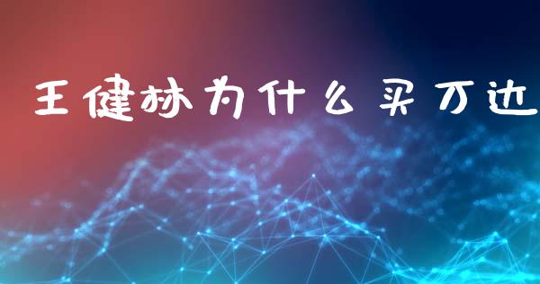 王健林为什么买万达_https://m.fansifence.com_个股行情_第1张