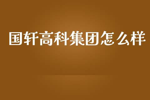 国轩高科集团怎么样_https://m.fansifence.com_个股行情_第1张