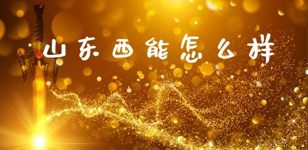 山东西能怎么样_https://m.fansifence.com_公募基金_第1张