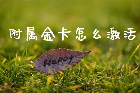 附属金卡怎么激活_https://m.fansifence.com_贵金属行情_第1张