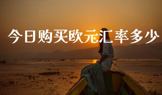 今日购买欧元汇率多少_https://m.fansifence.com_贵金属行情_第1张
