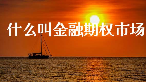 什么叫金融期权市场_https://m.fansifence.com_贵金属行情_第1张