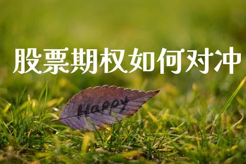 股票期权如何对冲_https://m.fansifence.com_个股行情_第1张