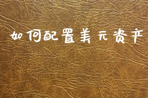 如何配置美元资产_https://m.fansifence.com_公募基金_第1张