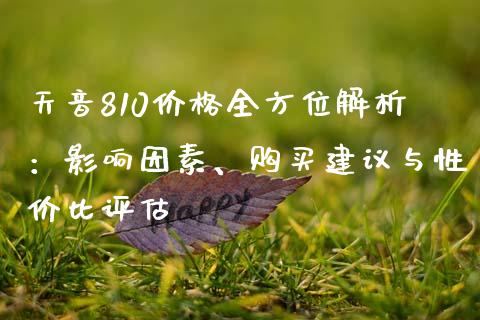 天音810价格全方位解析：影响因素、购买建议与性价比评估_https://m.fansifence.com_个股行情_第1张