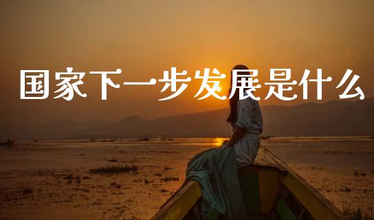 国家下一步发展是什么_https://m.fansifence.com_消费金融_第1张