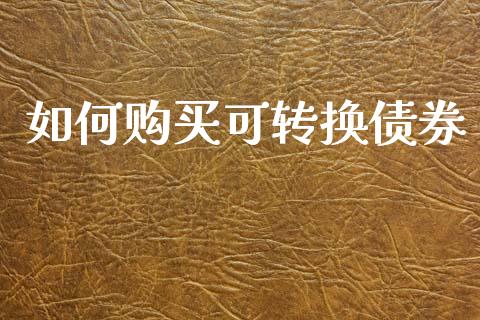 如何购买可转换债券_https://m.fansifence.com_消费金融_第1张