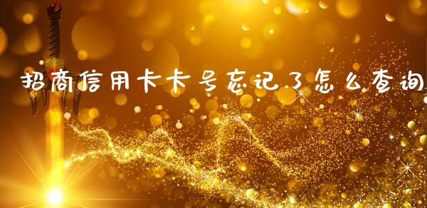招商信用卡卡号忘记了怎么查询_https://m.fansifence.com_公募基金_第1张
