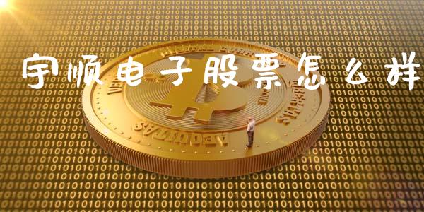 宇顺电子股票怎么样_https://m.fansifence.com_个股行情_第1张