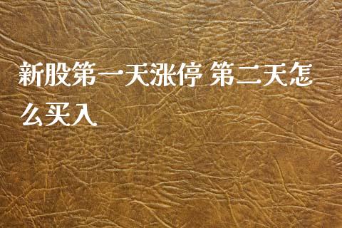 新股第一天涨停 第二天怎么买入_https://m.fansifence.com_贵金属行情_第1张