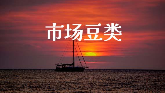 市场豆类_https://m.fansifence.com_消费金融_第1张