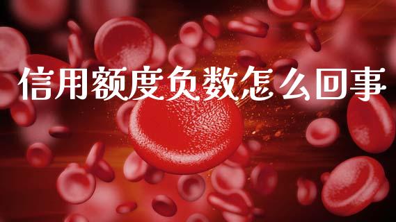 信用额度负数怎么回事_https://m.fansifence.com_个股行情_第1张