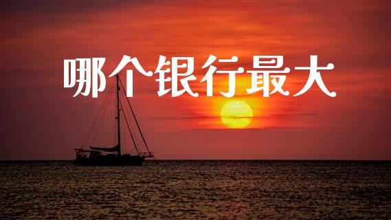 哪个银行最大_https://m.fansifence.com_贵金属行情_第1张